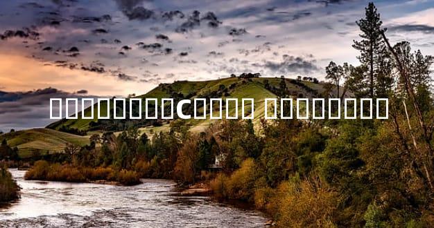 ��������С���� ���ժ����